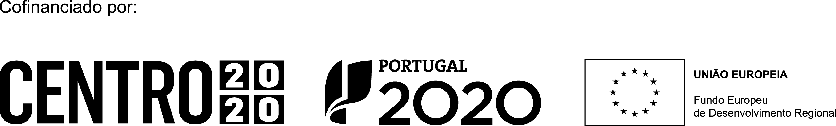 Logo Centro 2020